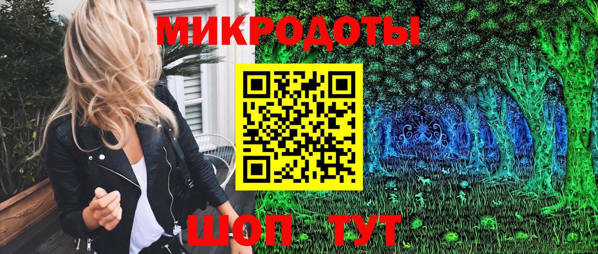 Чернушка  Псилоцибиновые грибы Psilocybe  Вход с VPN 