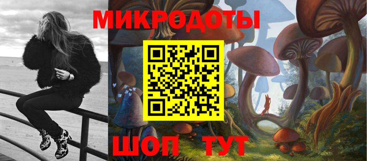 Псилоцибиновые грибы мухоморы Чернушка