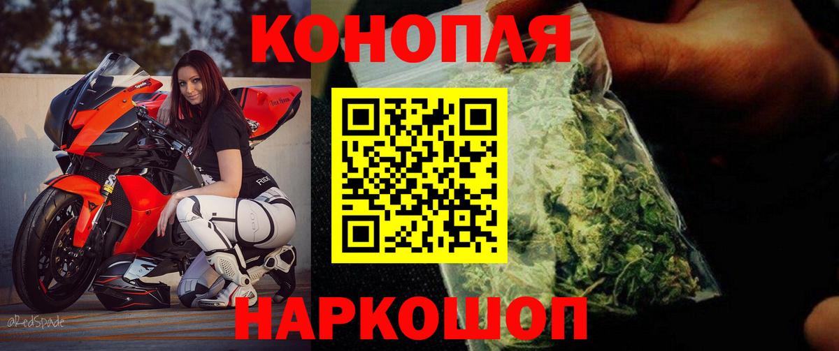 Каннабис индика Чернушка